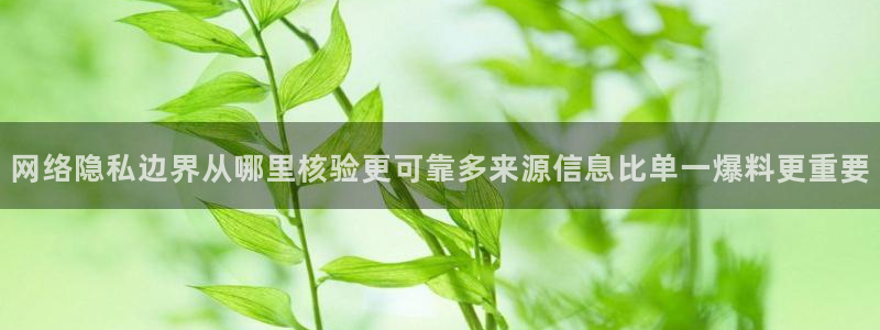 91吃瓜今日热点:网络隐私边界从哪里核验更可靠多来源信息比单一爆料更重要