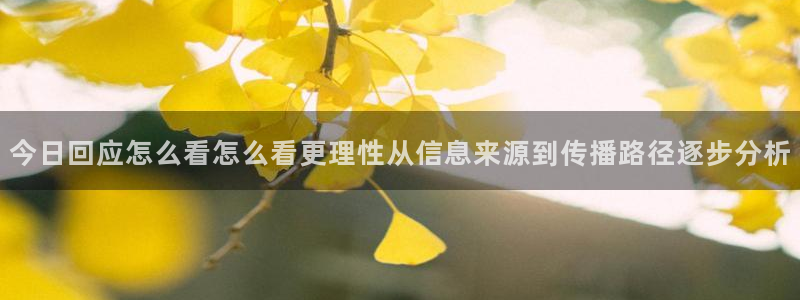 吃瓜在线观看平台:今日回应怎么看怎么看更理性从信息来源到传播路径逐步分析