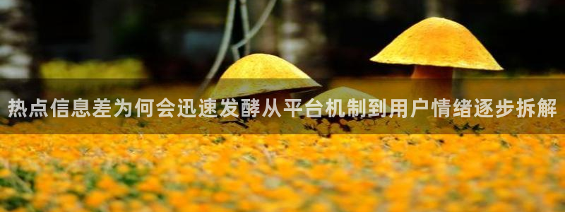 吃瓜热门资讯:热点信息差为何会迅速发酵从平台机制到用户情绪逐步拆解