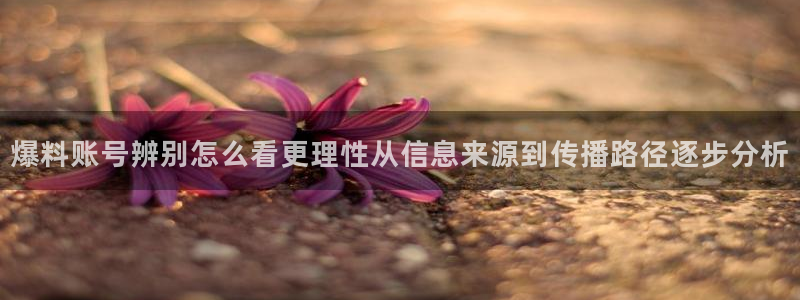 91吃瓜热点爆料:爆料账号辨别怎么看更理性从信息来源到传播路径逐步分析