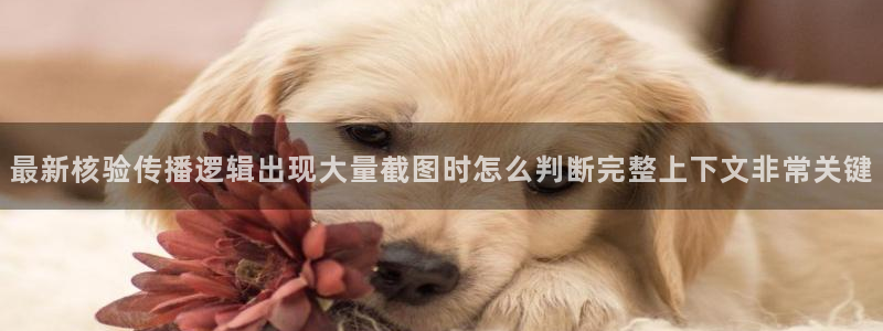 吃瓜今日事件：最新核验传播逻辑出现大量截图时怎么判断完整上下文非常关键