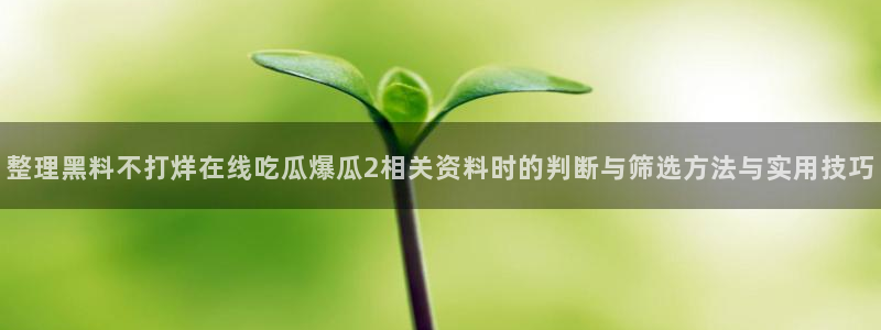 吃瓜网页入口:整理黑料不打烊在线吃瓜爆瓜2相关资料时的判断与筛选方法与实用技巧