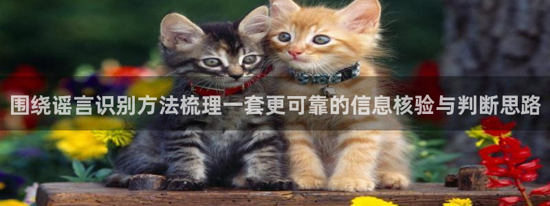 91吃瓜热点入口：围绕谣言识别方法梳理一套更可靠的信息核验与判断思路