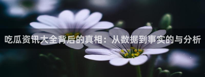 91吃瓜动态：吃瓜资讯大全背后的真相：从数据到事实的与分析