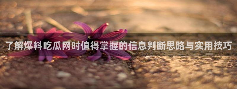 91吃瓜爆料大全：了解爆料吃瓜网时值得掌握的信息判断思路与实用技巧