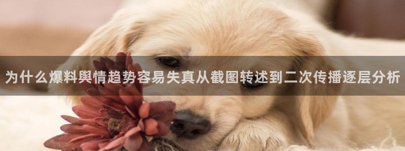 91吃瓜今日热搜:为什么爆料舆情趋势容易失真从截图转述到二次传播逐层分析